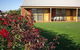 Coonawarra Place Motor Inn - thumb 5