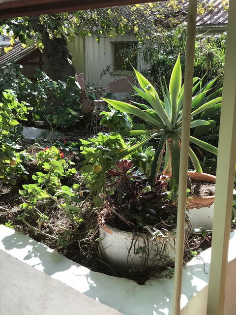 Cosy Nook - Kempsey Accommodation 19