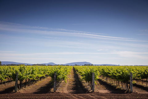 Quest Griffith - Kempsey Accommodation 14