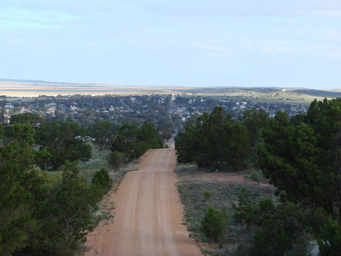 Andy\'s Accommodation - Kempsey Accommodation 16