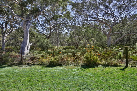 Wildwood I Pet Friendly I 5 Mins To Beach - Kempsey Accommodation 17