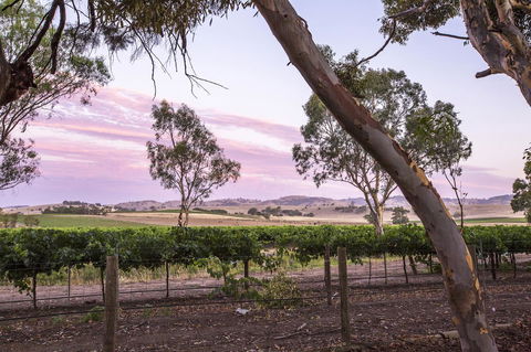 Jasmine\'s Barossa Valley Cottage - Kempsey Accommodation 19