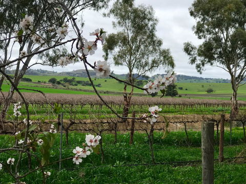 Jasmine\'s Barossa Valley Cottage - Kempsey Accommodation 20