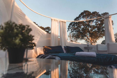 Coonawarra Bubble Tents - Kempsey Accommodation 12