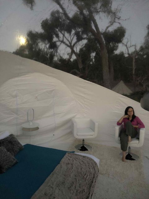 Coonawarra Bubble Tents - Kempsey Accommodation 1