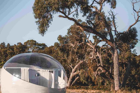 Coonawarra Bubble Tents - Kempsey Accommodation 10