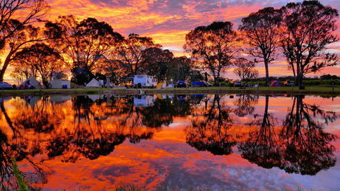 Coonawarra Bubble Tents - Kempsey Accommodation 3