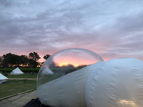 Coonawarra Bubble Tents - Kempsey Accommodation 4