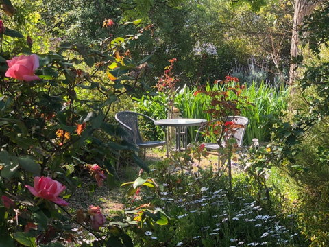 Treasured Memories Cottage - Kempsey Accommodation 17
