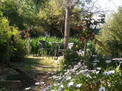 Treasured Memories Cottage - Kempsey Accommodation 23