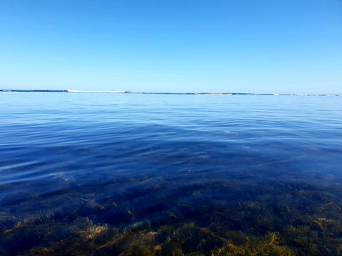 Rocks Retreat House With Sea Views - Kempsey Accommodation 8