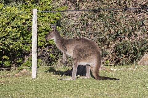 Chandlers Smiths Beach Villas - Kempsey Accommodation 15