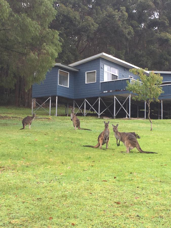  Kempsey Accommodation