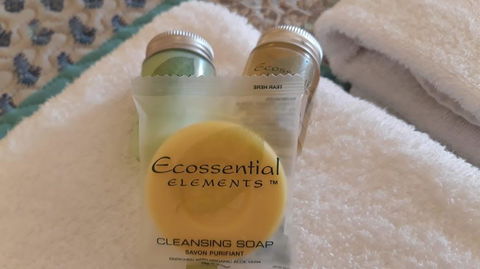 Rayanne Homestead - Kempsey Accommodation 3