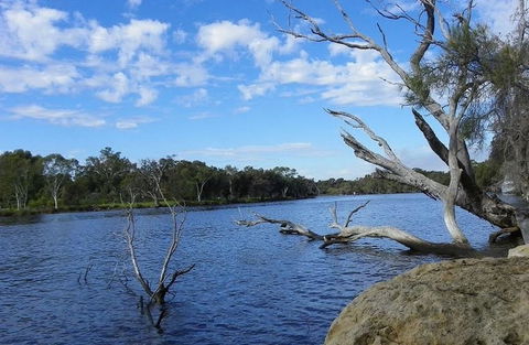 Ascot Comfort - Kempsey Accommodation 23