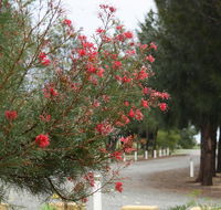 The Heights Bed  Breakfast - Kempsey Accommodation