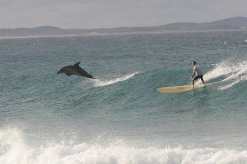 Crescent Head Spa Villa - Kempsey Accommodation 22