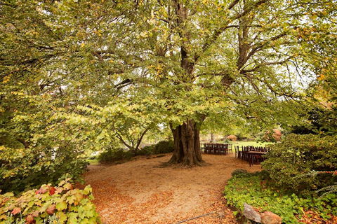 Nesuto Leura Gardens (formerly Waldorf Leura Gardens Resort) - Kempsey Accommodation 1