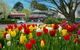 Nesuto Leura Gardens (formerly Waldorf Leura Gardens Resort) - thumb 0