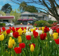 Nesuto Leura Gardens formerly Waldorf Leura Gardens Resort - Kempsey Accommodation