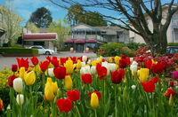 Book Leura Accommodation Vacations Kempsey Accommodation Kempsey Accommodation