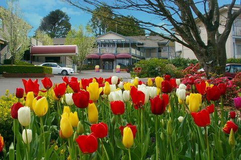 Nesuto Leura Gardens (formerly Waldorf Leura Gardens Resort) - Kempsey Accommodation 0