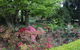 Nesuto Leura Gardens (formerly Waldorf Leura Gardens Resort) - thumb 2