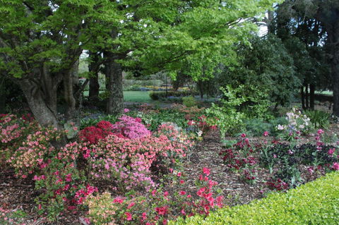 Nesuto Leura Gardens (formerly Waldorf Leura Gardens Resort) - Kempsey Accommodation 2