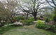 Nesuto Leura Gardens (formerly Waldorf Leura Gardens Resort) - thumb 4