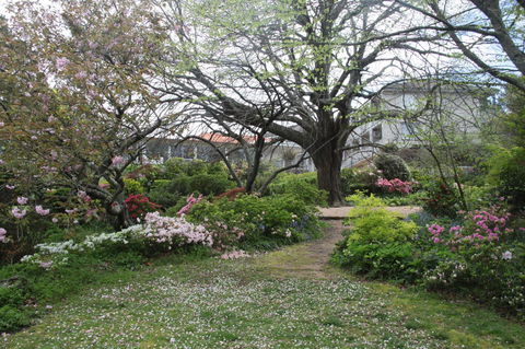 Nesuto Leura Gardens (formerly Waldorf Leura Gardens Resort) - Kempsey Accommodation 4