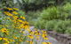 Nesuto Leura Gardens (formerly Waldorf Leura Gardens Resort) - thumb 16
