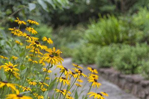 Nesuto Leura Gardens (formerly Waldorf Leura Gardens Resort) - Kempsey Accommodation 16