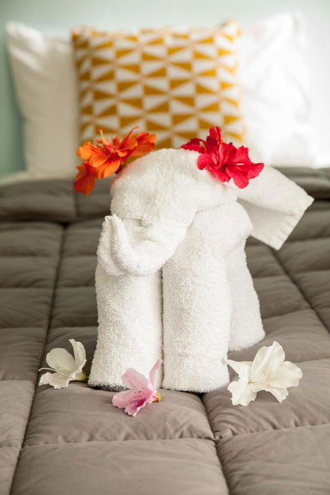 Kempsey Rose Motor Inn - Kempsey Accommodation 17