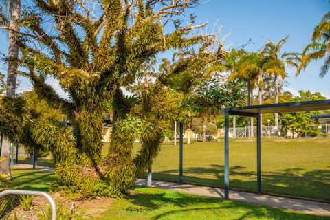 Kempsey Rose Motor Inn - Kempsey Accommodation 41