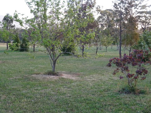 Romanz In The Valley (Luxury B&B) - Kempsey Accommodation 32