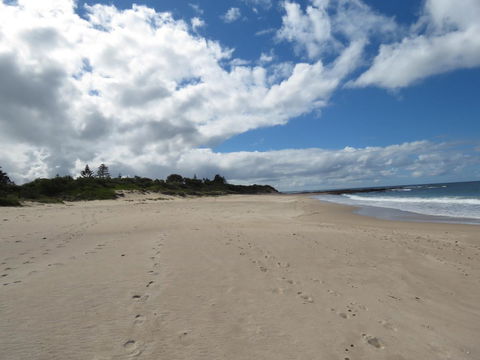 Sweet Spot Shellharbour - Kempsey Accommodation 15