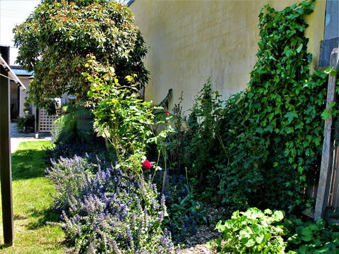 Apple Tree Cottage - Kempsey Accommodation 24