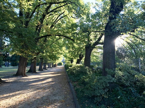 The Botanical 201 - Kempsey Accommodation 17