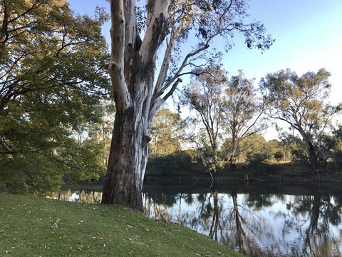 The Botanical 201 - Kempsey Accommodation 18