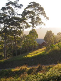 Book Bawley Point Accommodation Vacations Kempsey Accommodation Kempsey Accommodation