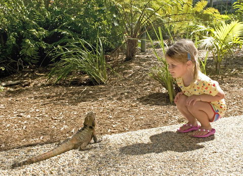 Flynns Beach Resort - Kempsey Accommodation 16
