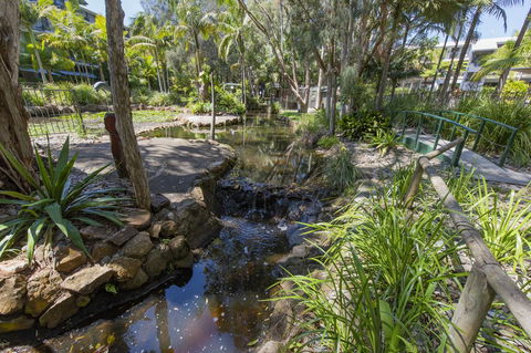 Flynns Beach Resort - Kempsey Accommodation 13