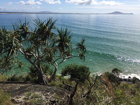 Hat Head Beach Cottage 1 - Kempsey Accommodation 23