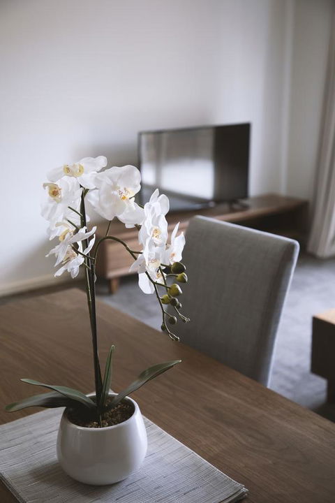Quest Wagga Wagga - Kempsey Accommodation 11