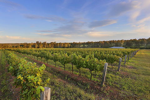Ironstone Estate Lovedale - Kempsey Accommodation 31