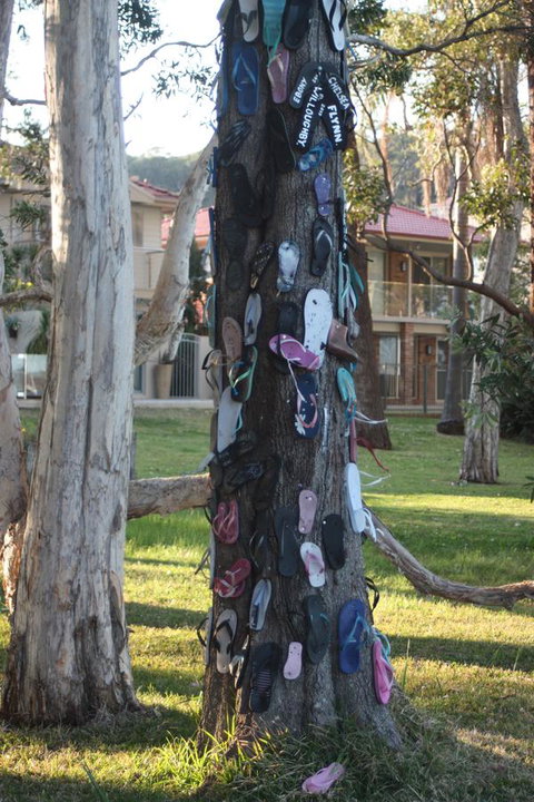 Ambience - Kempsey Accommodation 33
