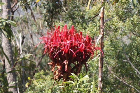 Ambience - Kempsey Accommodation 30