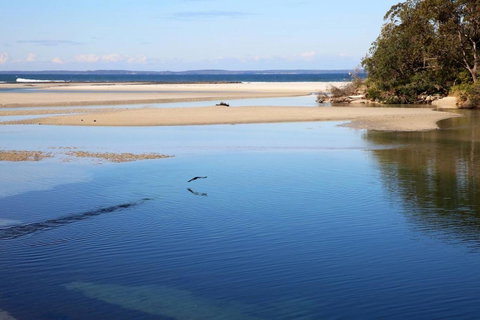 Jervis Bay Beach Shack I Pet Friendly - Kempsey Accommodation 19