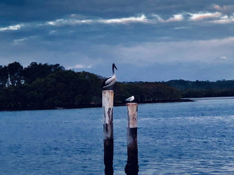 Boathouse Resort (Water Front) - Kempsey Accommodation 15