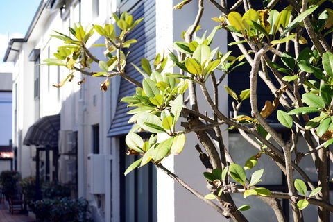 Avoca Randwick By Sydney Lodges - Kempsey Accommodation 34